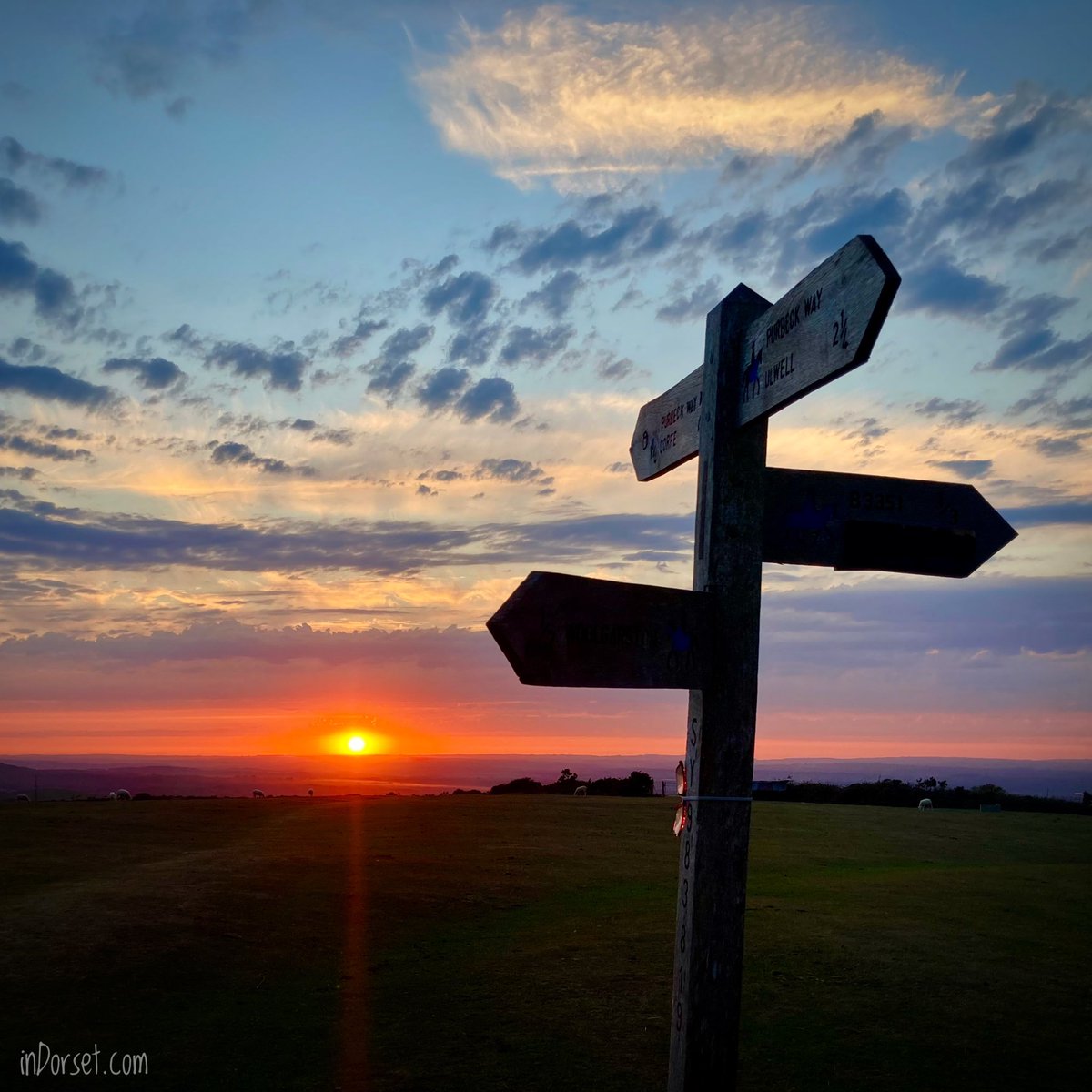 inDorsetuk's tweet photo. Sunset in the Purbeck Way, heading to Corfe Castle 😊

#corfecastle #purbeckway #isleofpurbeck #dorset #exploredorset #walkdorset #sunset #sunsetphotography #sunsetlover #dorsetholiday #visitdorset #visituk #indorset https://t.co/CDpqT5L8Cm