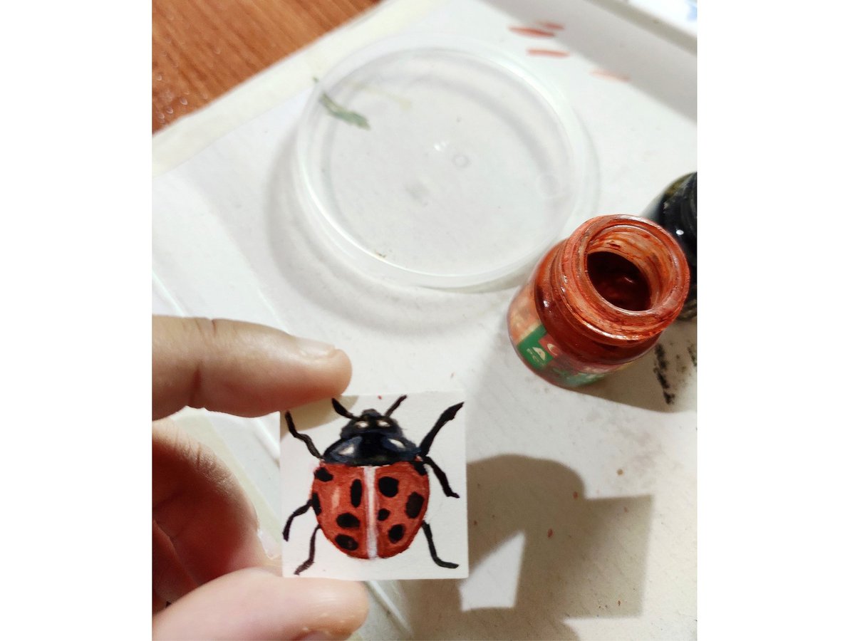 upasana_ganguly's tweet image. For #aninchaugust challenge I remember those happy childhood days of trying to locate ladybugs in our school and society playgrounds and observing them. That excitement was of another level! 🐞❤️ @WildMayukh @SnehaaSun @josethanni