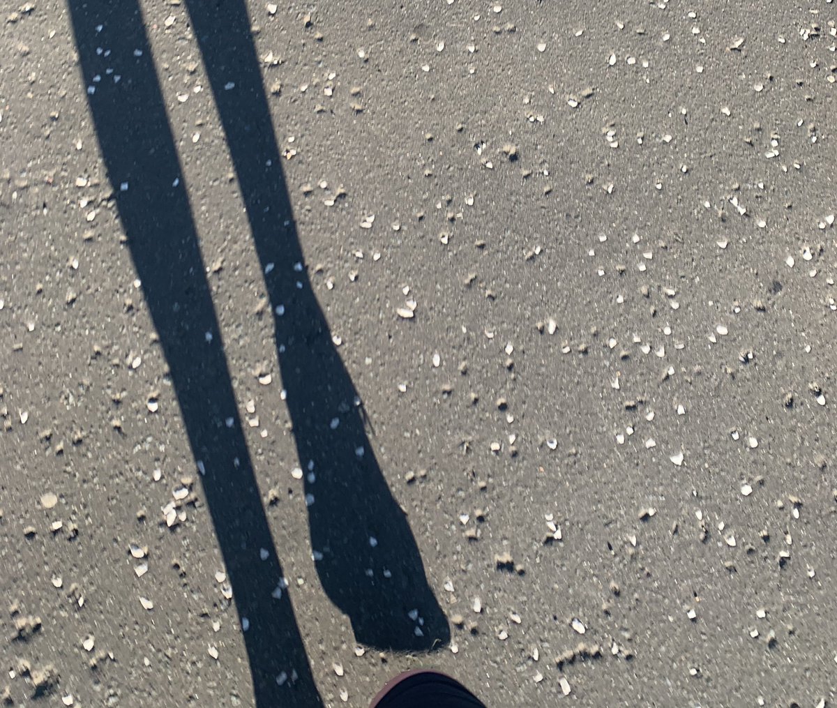 christisam10's tweet photo. Beautiful morning for a run #WeActiveChallenge @WeAHPs #moresteps @keeganRD @Hannahreid89_RD @wearehairmyres https://t.co/vlRqvaFBZh