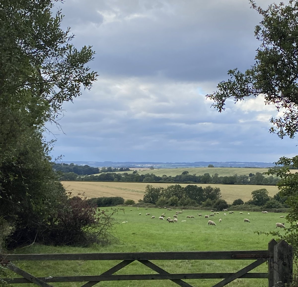HambletonBakery's tweet photo. Beautiful evening light before another hot, hot day ☀️ stay cool & enjoy
#itsgoingtobeagreatday
#shoplocal #weareopen #rurallife #hambletonbakery #puttingbreadonthetable #freshlybakedeveryday #supportsmallbusiness #rutlandlife #supportingthecounty #artisanbread #wellbread https://t.co/hEd2fcH6Ad