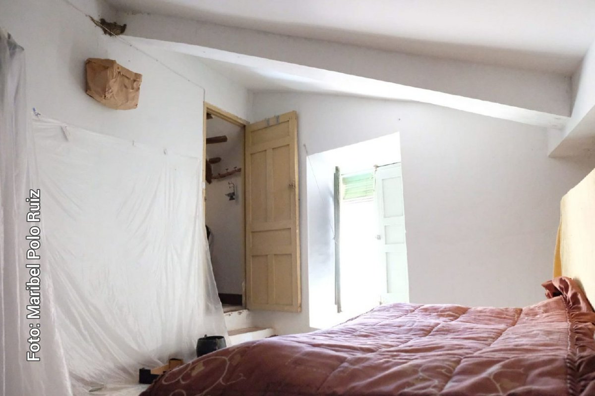 SEO_BirdLife's tweet photo. Hay gente que ama las aves.
Y luego está nuestra amiga Marta, que vio un nido de golondrina en el dormitorio y les ha dejado la ventana abierta, ha forrado las paredes, les ha puesto una bolsa de papel bajo el nido para recoger las ��� y les ha cedido el cuarto para no molestar😅 https://t.co/OiTnPbGAXI