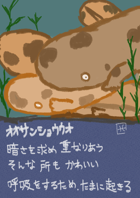オオサンショウウオのtwitterイラスト検索結果 オオサンショウウオのtwitterイラスト検索結果