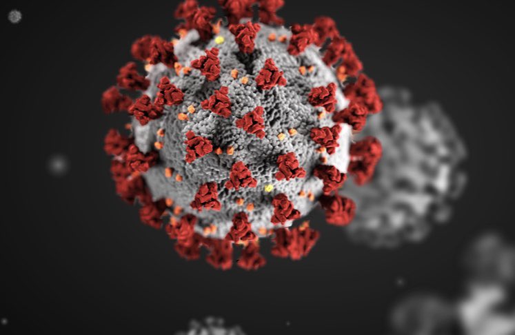 Shadi Saleh tweet media