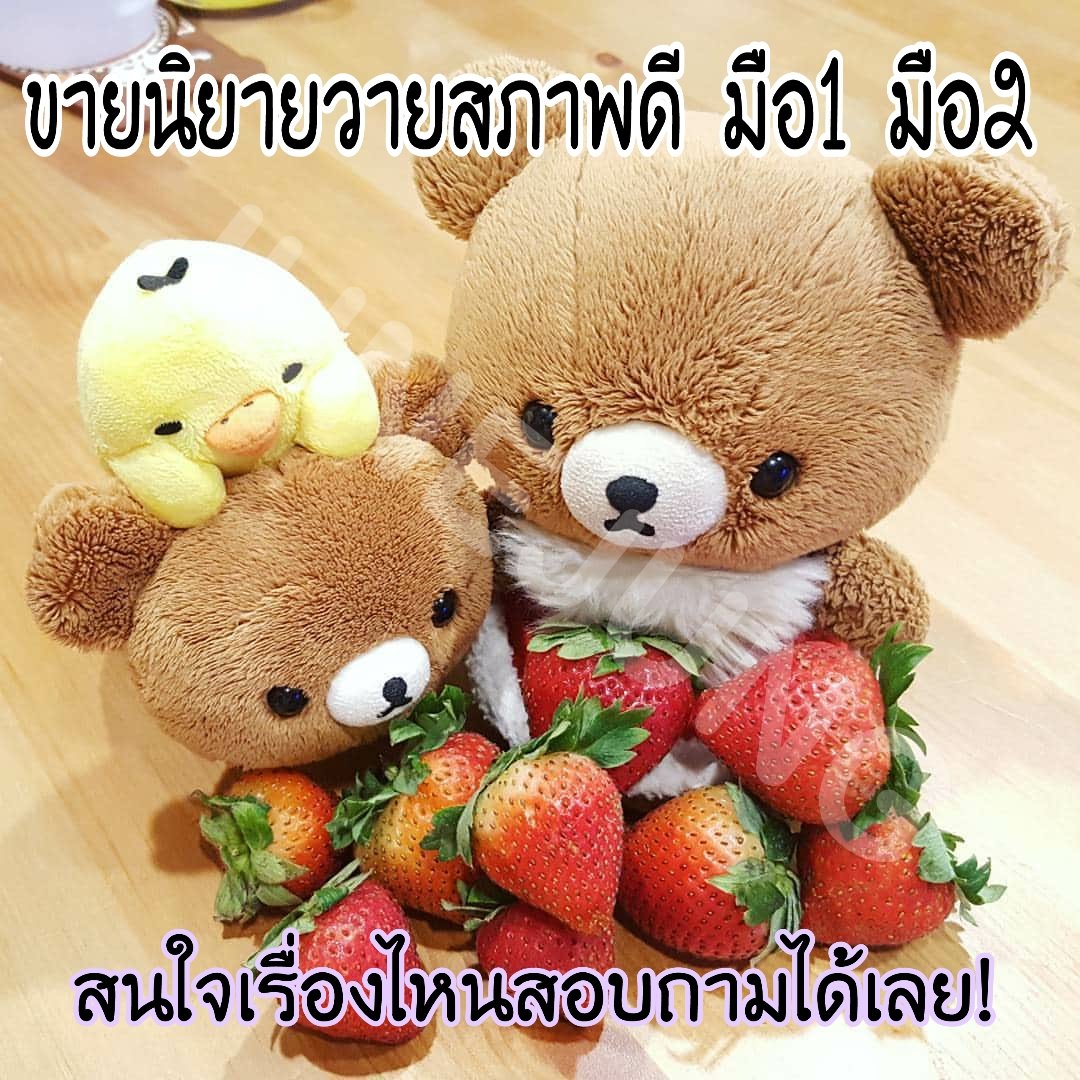 🍀ᒍᑌᑎᗴ ✍️📚✨ tweet media