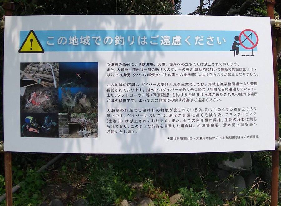 釣り禁止エリアが増えている件について 大瀬崎まで釣り禁止になりました アングラーズ 釣果360万件の魚釣り情報サイト