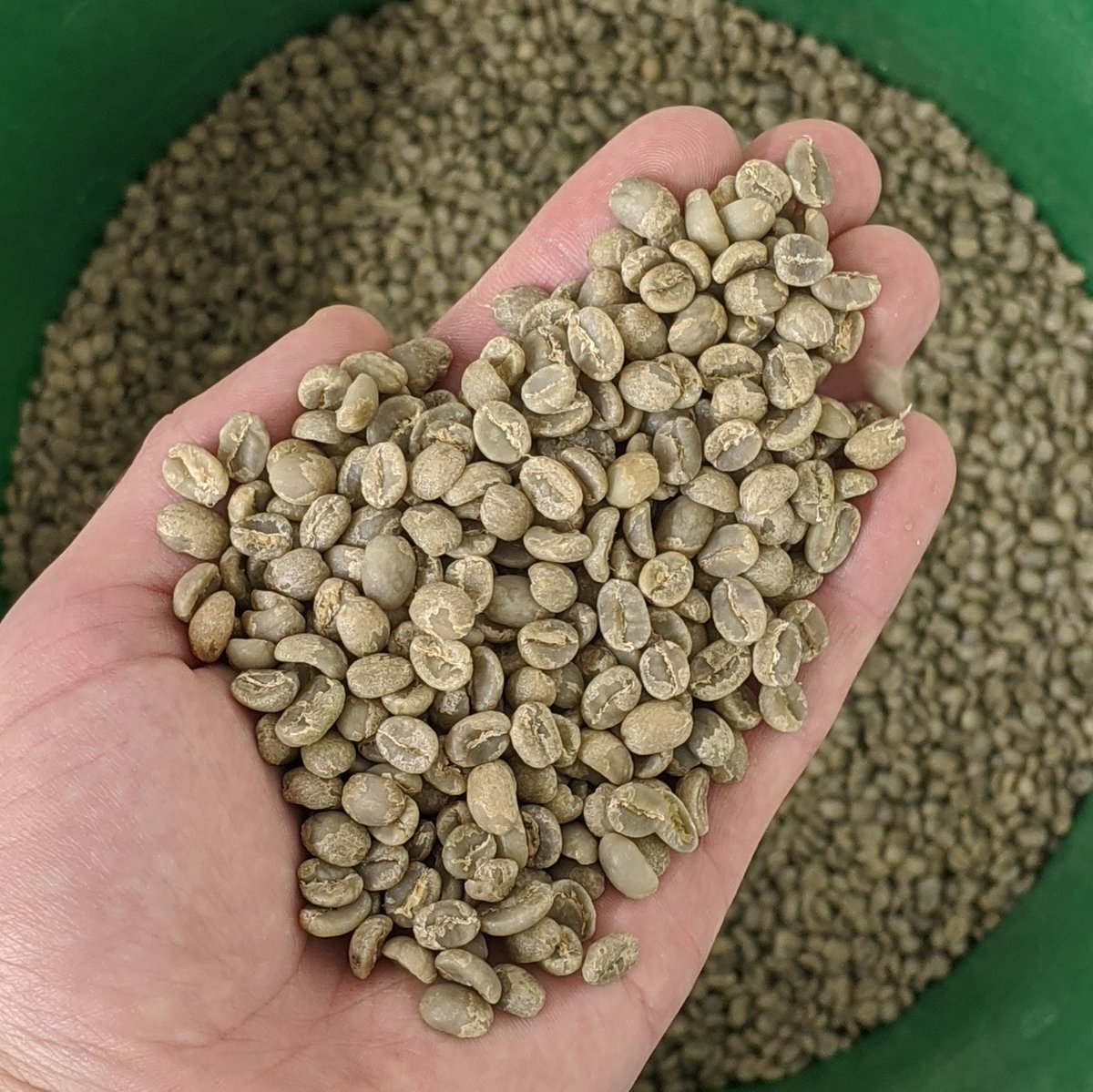 Moon Roast Coffee tweet media