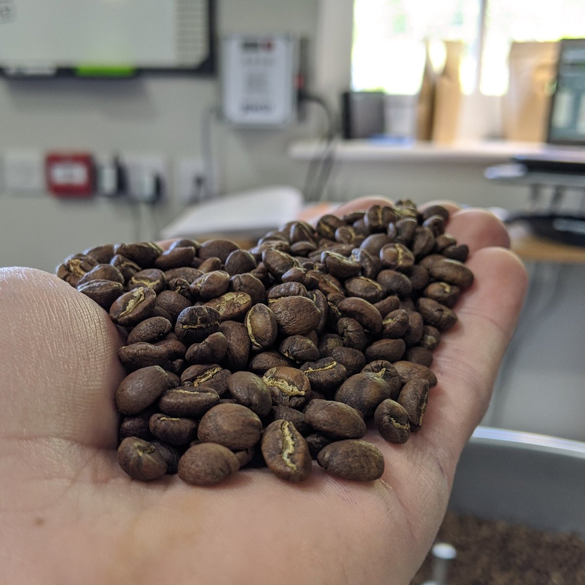 Moon Roast Coffee tweet media