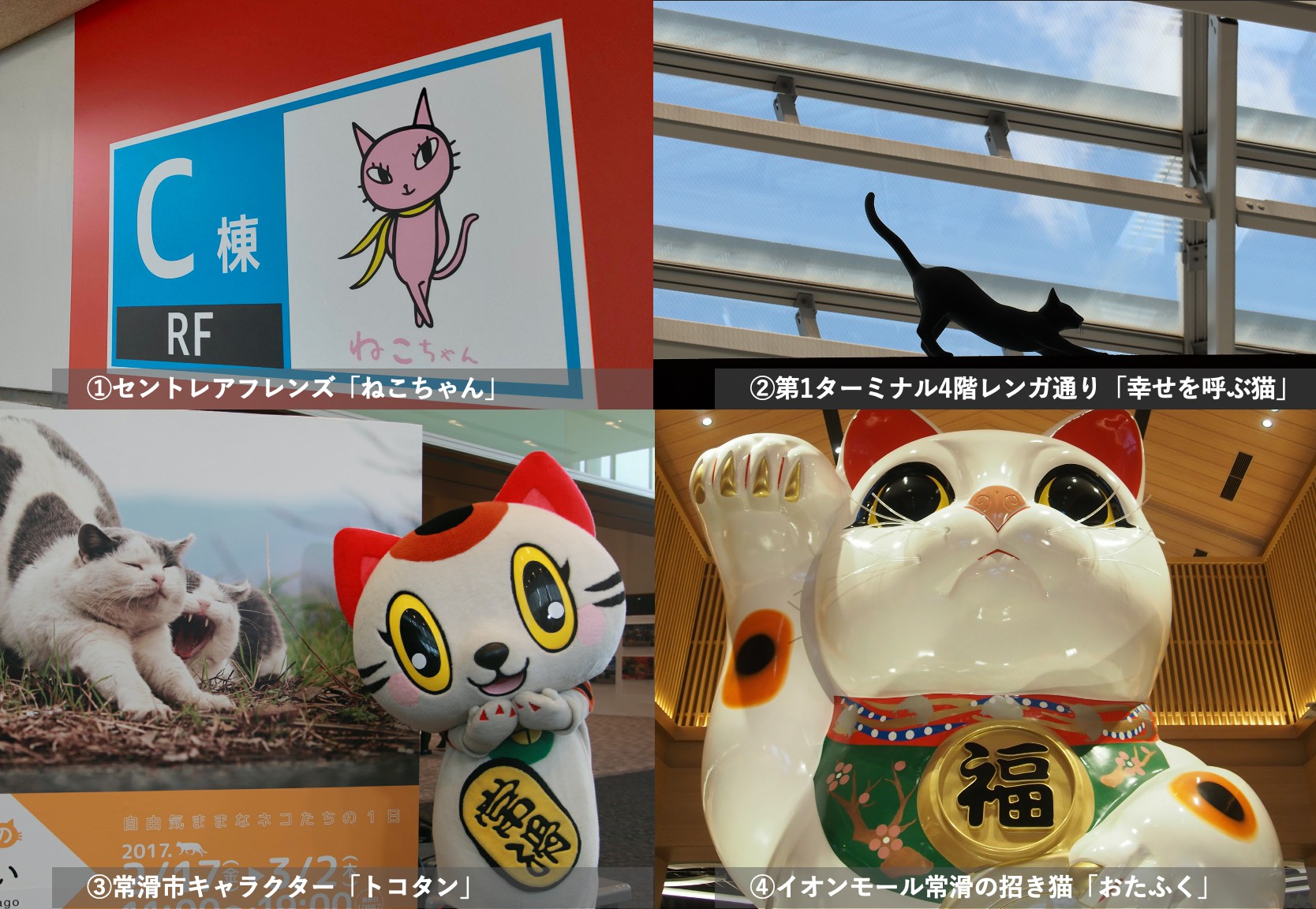 中部国際空港セントレア 今朝ご紹介したセントレアにゆかりのある猫たち 正解は セントレアフレンズ ねこちゃん 第1ターミナル4階レンガ通り 幸せを呼ぶ猫 常滑市キャラクター トコタン イオンモール常滑の招き猫 おたふく でした