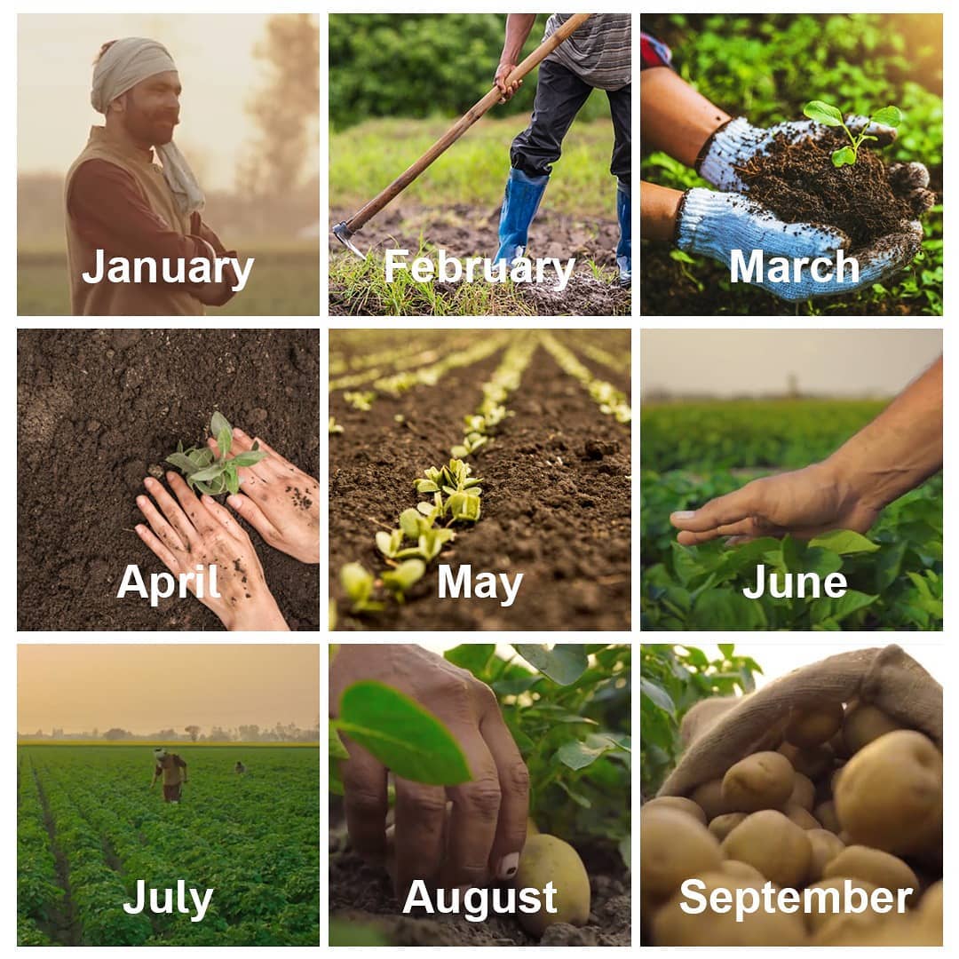 Social_Samosa's tweet image. #TopicalSpot - Brands ride on #MonthGrid trend to present the mood of the nation

#PostFormat