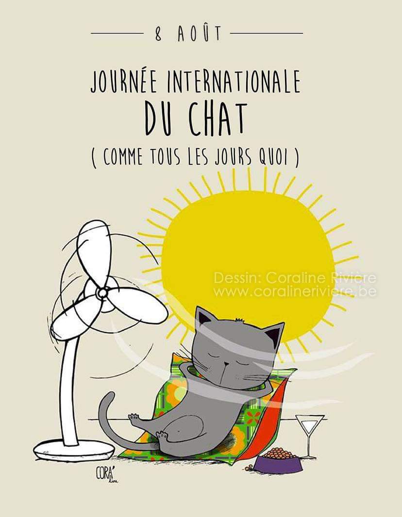 Journée internationale du chat