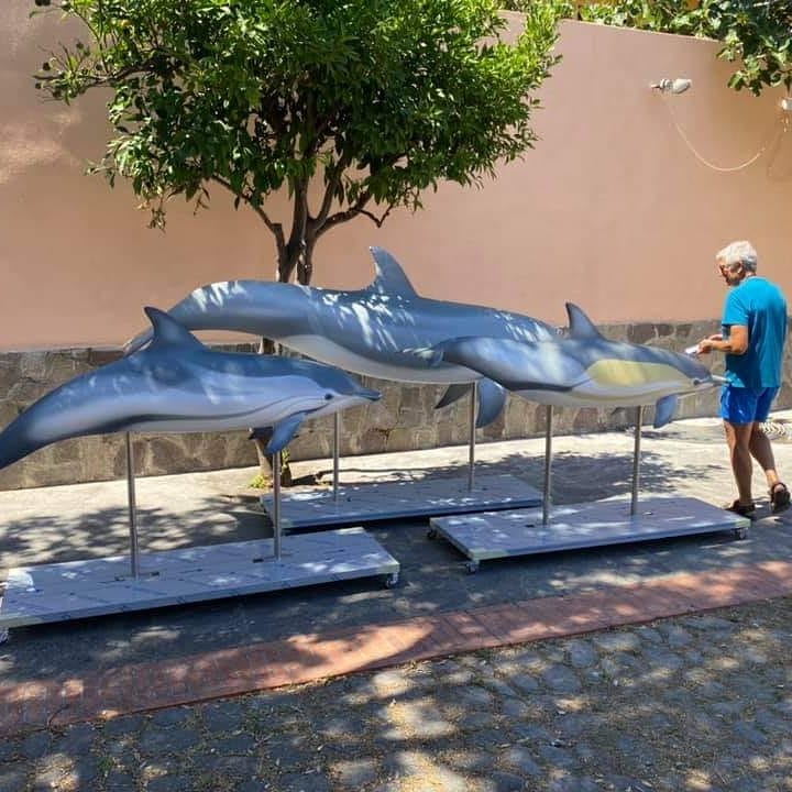 isoletoscane's tweet photo. Sono arrivati anche i tre meravigliosi modelli di #tursiope, #stenella e #delfino comune appositamente realizzati da #Artescienza Alla Salata di #Capraia  informazioni turistiche e un bellissimo centro educazione ambientale dedicato anche al Santuario dei #Cetacei  🐬🐋🐳 https://t.co/IgUD9XCQhQ