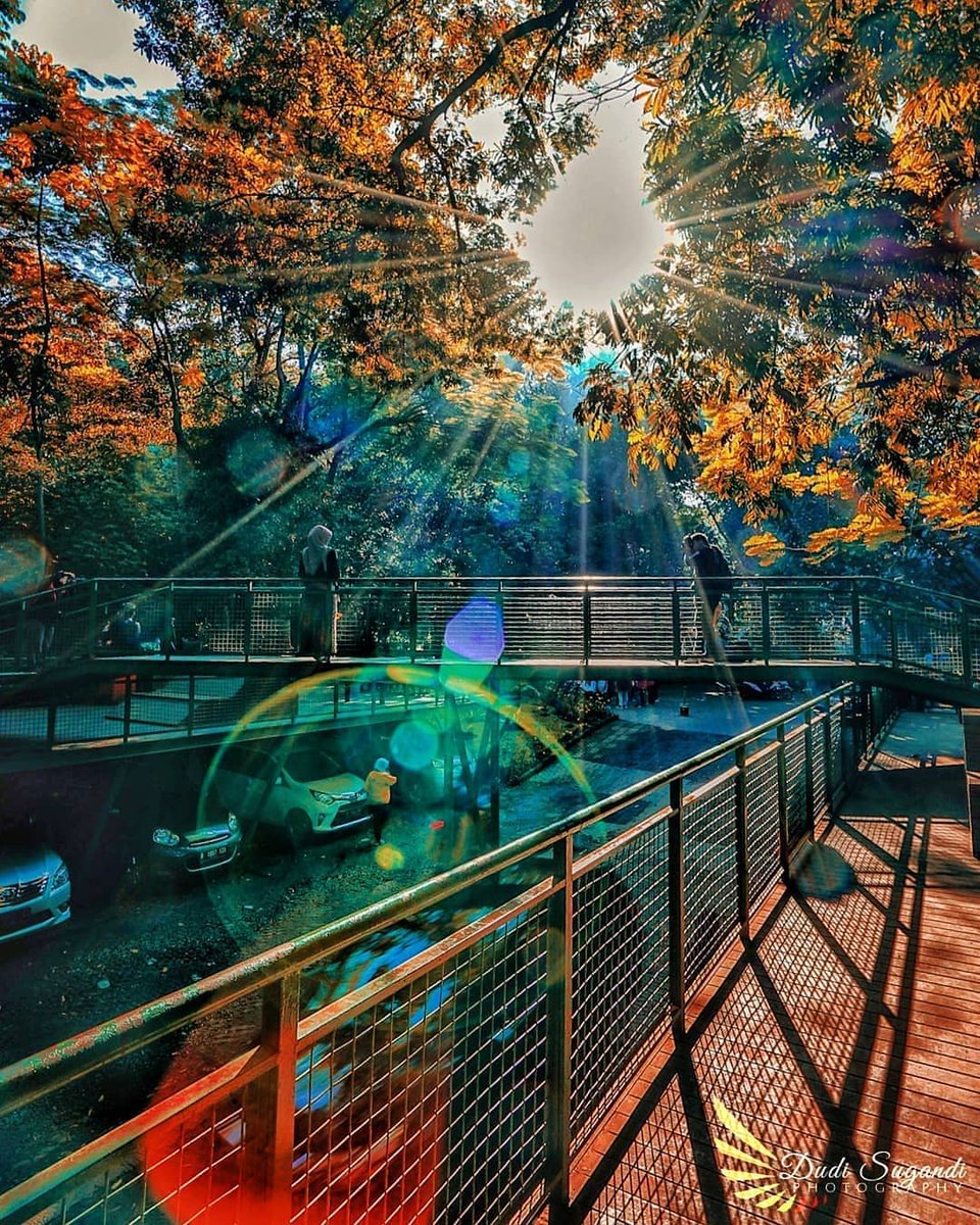 2. BaksilBaksil ini sebuah tempat yang berada di kawasan jalan Taman Sari. Baksil sering dikunjungi oleh fotografer untuk pengambilan foto karena tempatnya yang aesthetic dan nyaman bgt . Oh iya masuknya juga gratis loh, cuma kalo kalian bawa kendaran akan dikenai biaya parkir