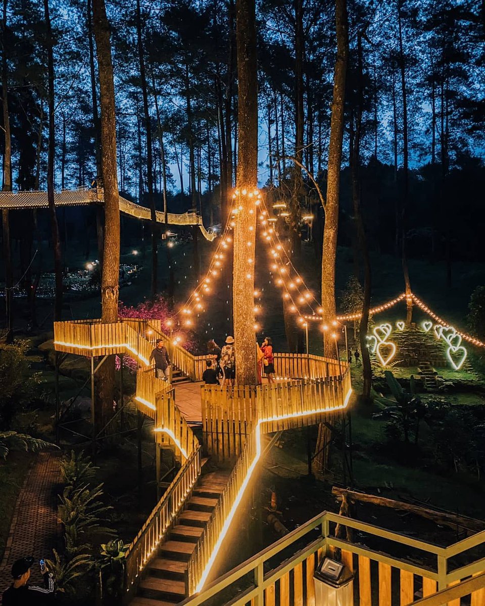 3. Orchid Forest Cikole Nah ini paling rekomendasi karena, tempatnya luas banget, instagramable, kalo malem bakal lebih aesthetic lagi soalnya lampu-lampunya bakal nyala gitu. Pokonya kalo kalian dibandung harus kesini.