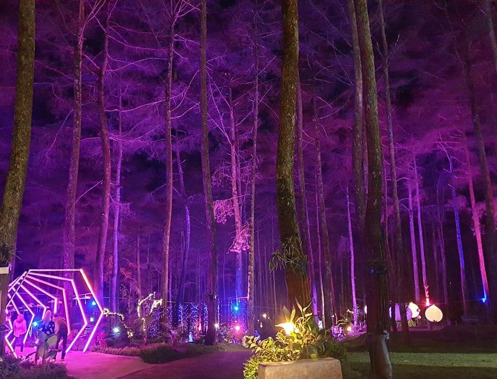 3. Orchid Forest Cikole Nah ini paling rekomendasi karena, tempatnya luas banget, instagramable, kalo malem bakal lebih aesthetic lagi soalnya lampu-lampunya bakal nyala gitu. Pokonya kalo kalian dibandung harus kesini.