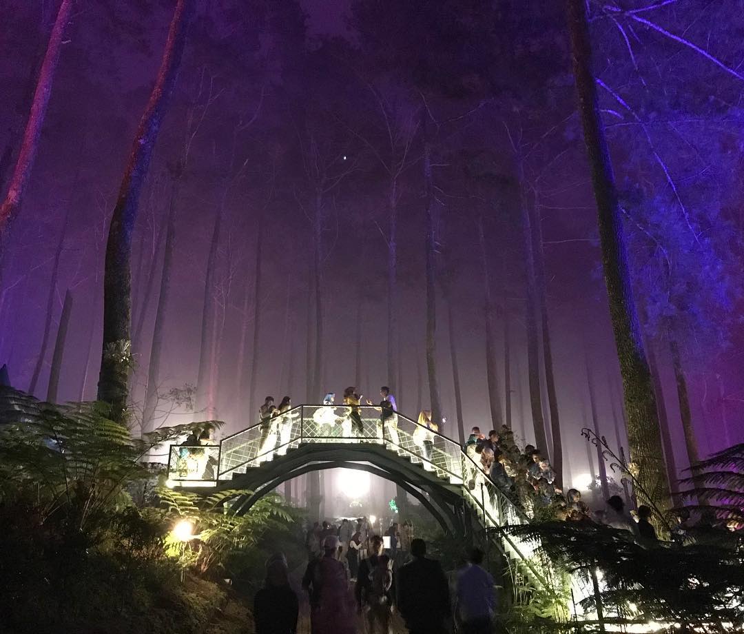 3. Orchid Forest Cikole Nah ini paling rekomendasi karena, tempatnya luas banget, instagramable, kalo malem bakal lebih aesthetic lagi soalnya lampu-lampunya bakal nyala gitu. Pokonya kalo kalian dibandung harus kesini.
