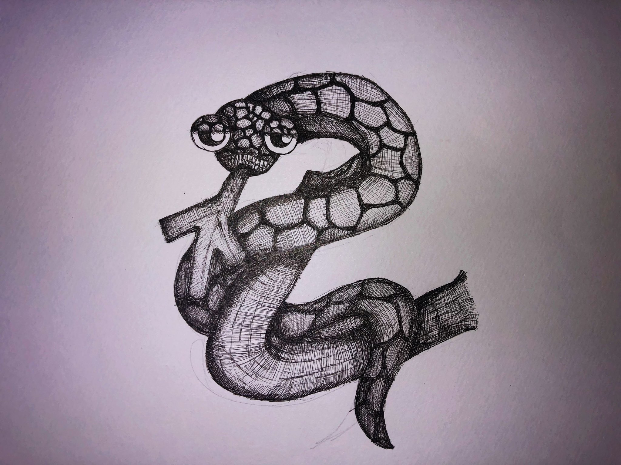 Nobe Ryota Gallery 作品紹介 タイトル 蛇の真実 画材 Pigma 時間 3時間 向日葵くんの世界観の蛇くんが リアルになりました ペン1本で描くのも悪くない この作品のメイキングはこちら T Co 0tv6z0pk51