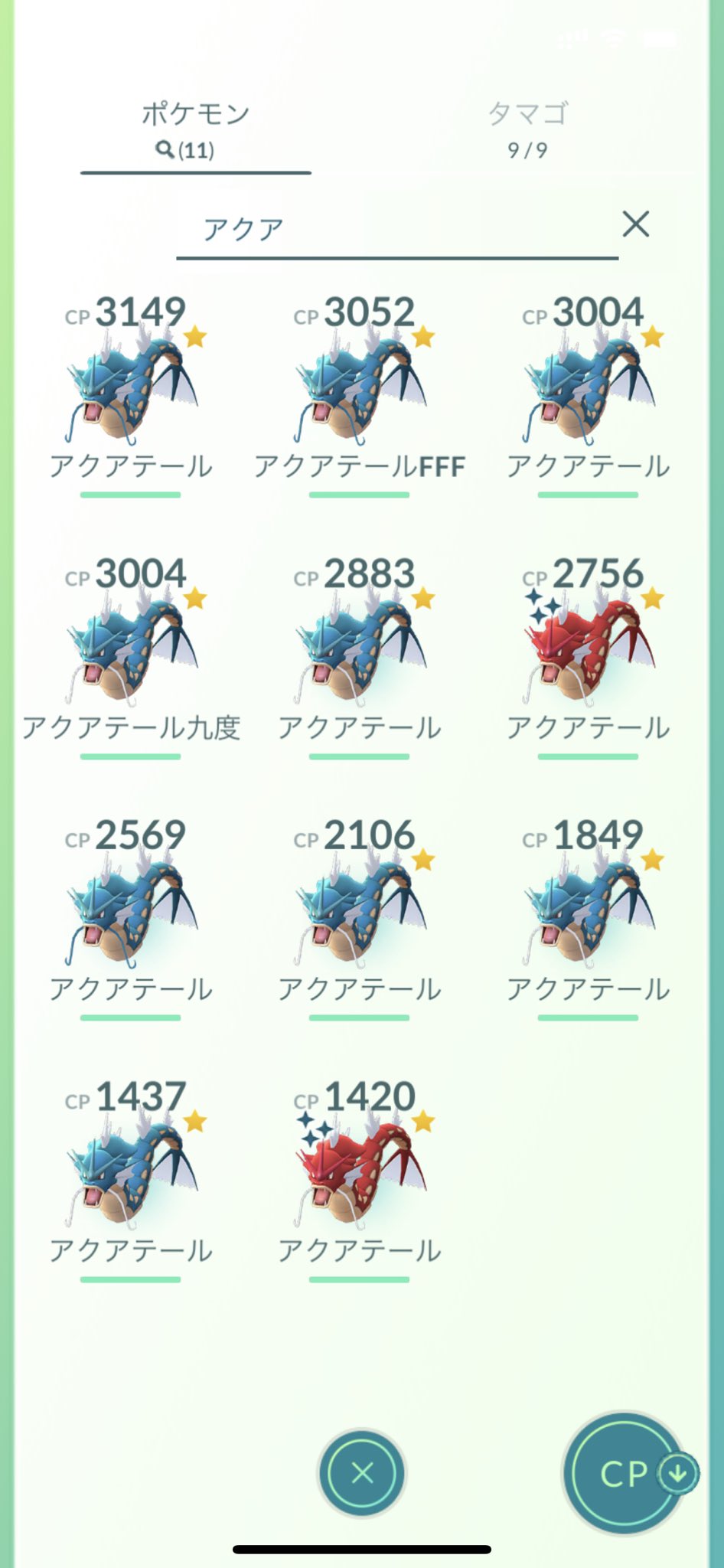 アクアテール Twitter Search Twitter