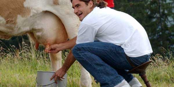 Federer’s home tournament, the Swiss Open Gstaad, has a history of giving him ‘special’ gifts - Desiree is perhaps the most famous of the pair, but organisers gifted him Juliette in 2003! They’re both owned by Swiss dairy farmers now - talk about ‘milking’ your presents.  #CowLove