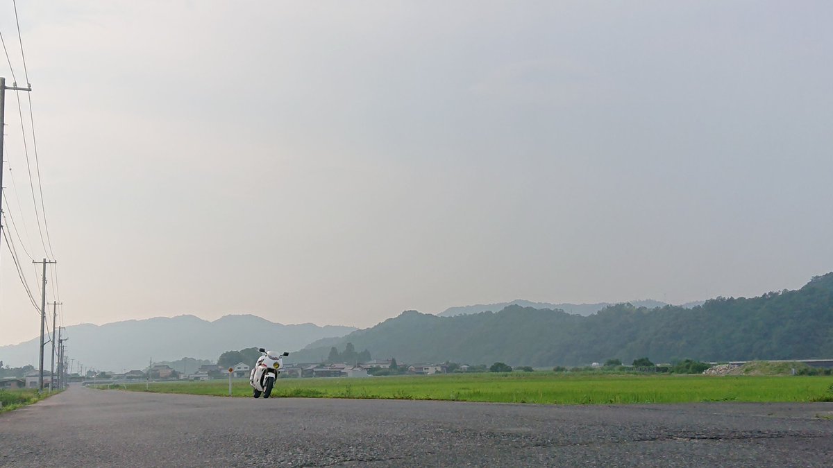 ベースハヤブサ Hashtag On Twitter