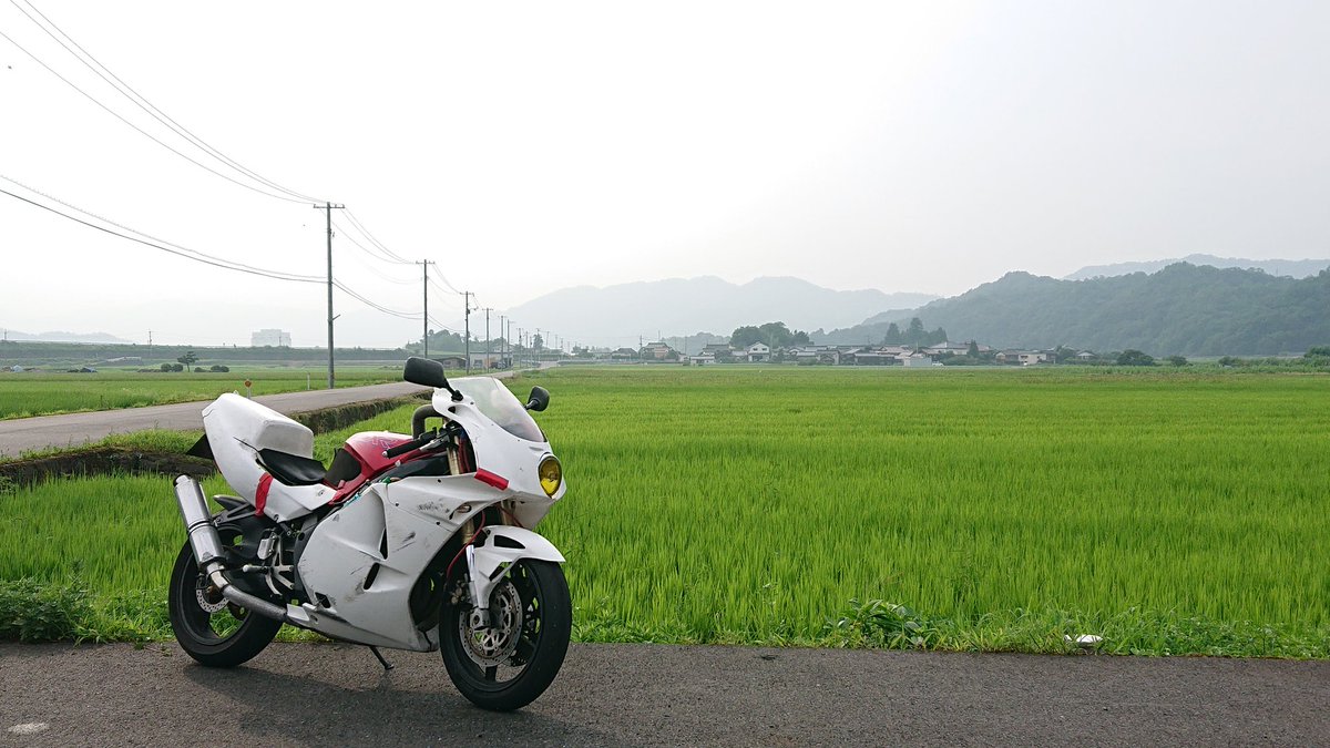 ベースハヤブサ Hashtag On Twitter