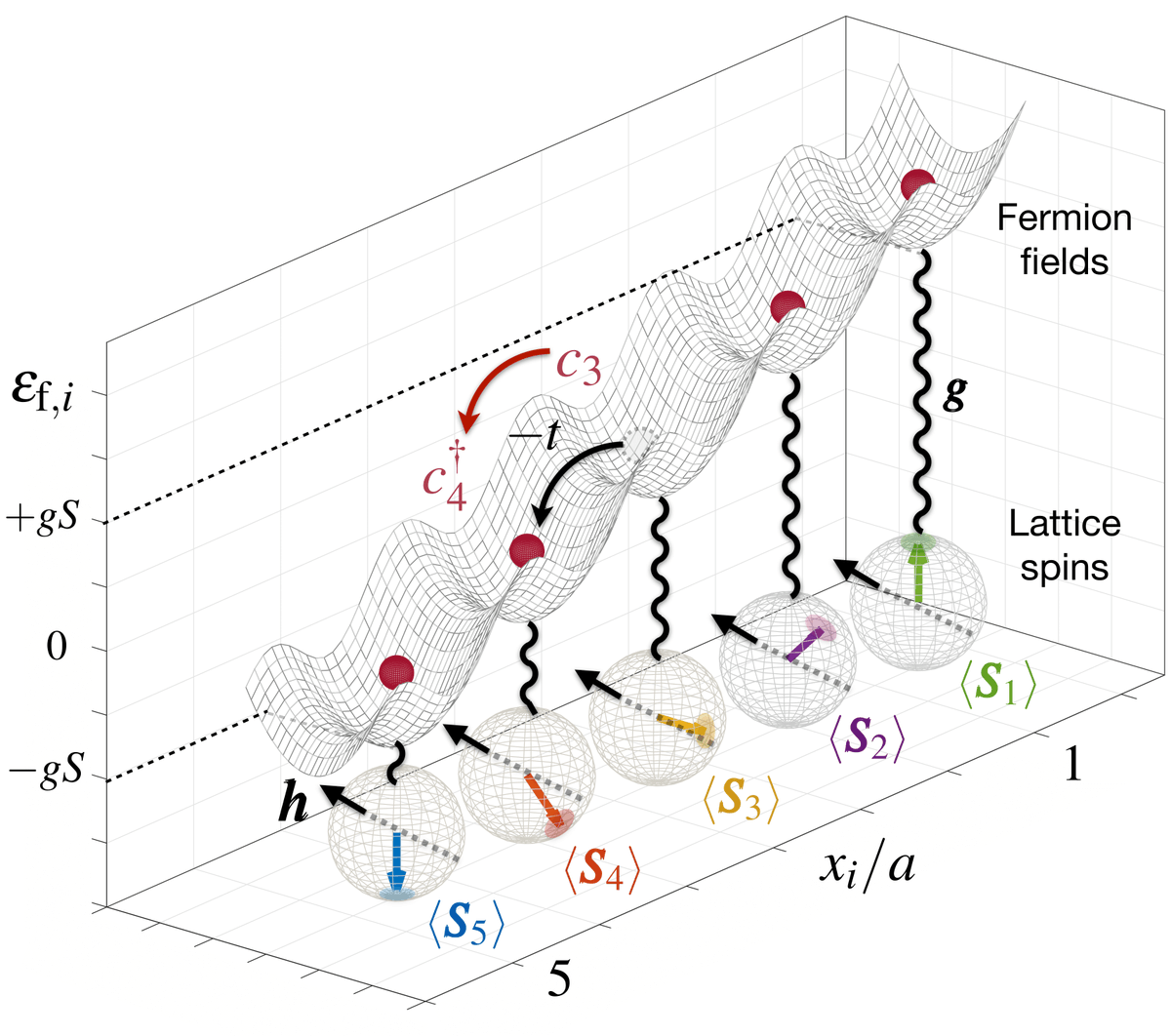 In particular, we study a one-dimensional model where the interactions between particles describing (fermionic) matter are mediated by other (bosonic) particles.