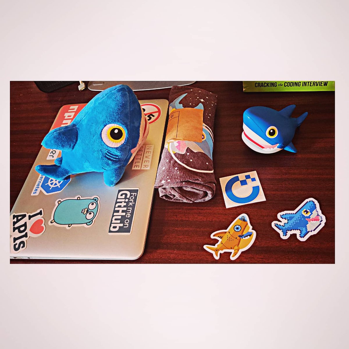 itsksaurabh's tweet photo. Thank you @digitalocean for personally sending me these gifts. ♥️

 I received them for building their Official community tool DoAct and for my code contributions. 

I would like to thank @MattIPv4 and @kamaln7 for appreciating my efforts and making my day! 🎉🤠

#digitalocean https://t.co/XPGjVjELno