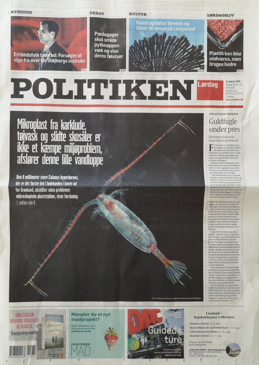 GisselTorkel's tweet photo. First quantification of Microplastics abundance and impact of MP on the West Greenland pelagic foodweb made the front page of the Danish newspaper @politiken @marine_plastic @VILLUMFONDEN https://t.co/JwZ6QKFlmX