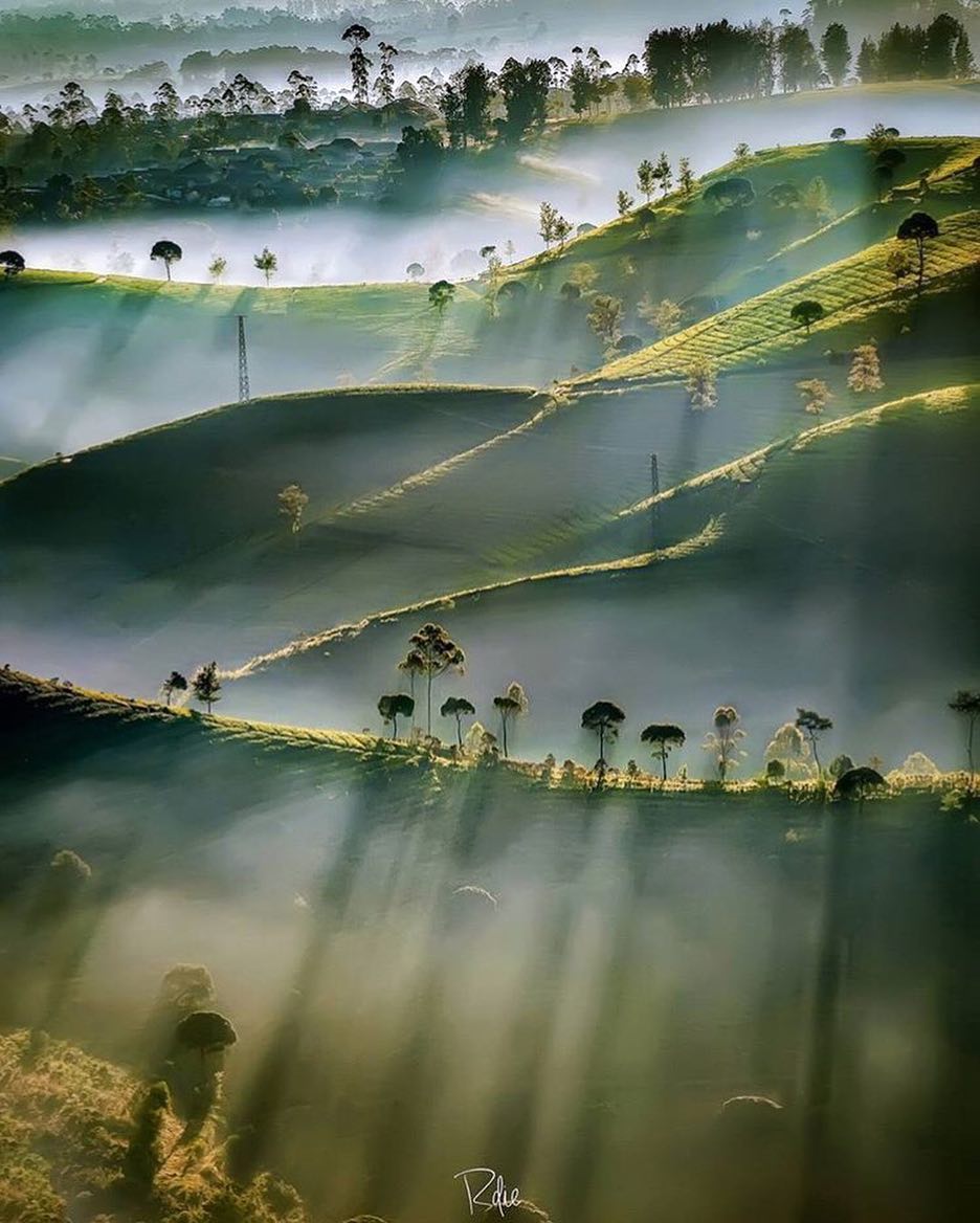 4. Sunrise Point CukulTempat ini jadi spot sunrise terbaik di Pangalengan, disini kita bisa menyaksikan terbitnya matahari yang timbul dibalik Gujung Wayang dihiasi oleh awan dan kabut tebal. Tapi kalo kesini hati-hati yh, dan jangan lupa pake jaket soalnya dingin.