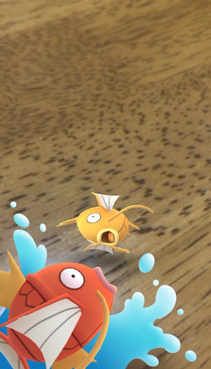 ひつじ コイキングイベントお疲れ様でした 各リーグで使う個体が一通り揃って良かったです あと コイキングの写り込み方かわいい