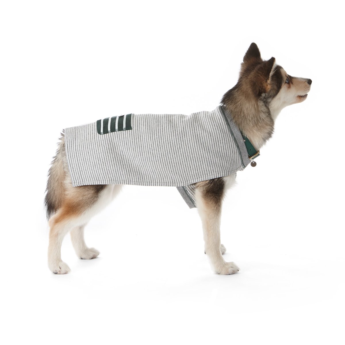 Your dog may not be able to eat sweets, but he will look positively delicious in his Bon-Bon T …enjoy a 50% off treat for you too.

mungoandmaud.com/dogs/dog-cloth…