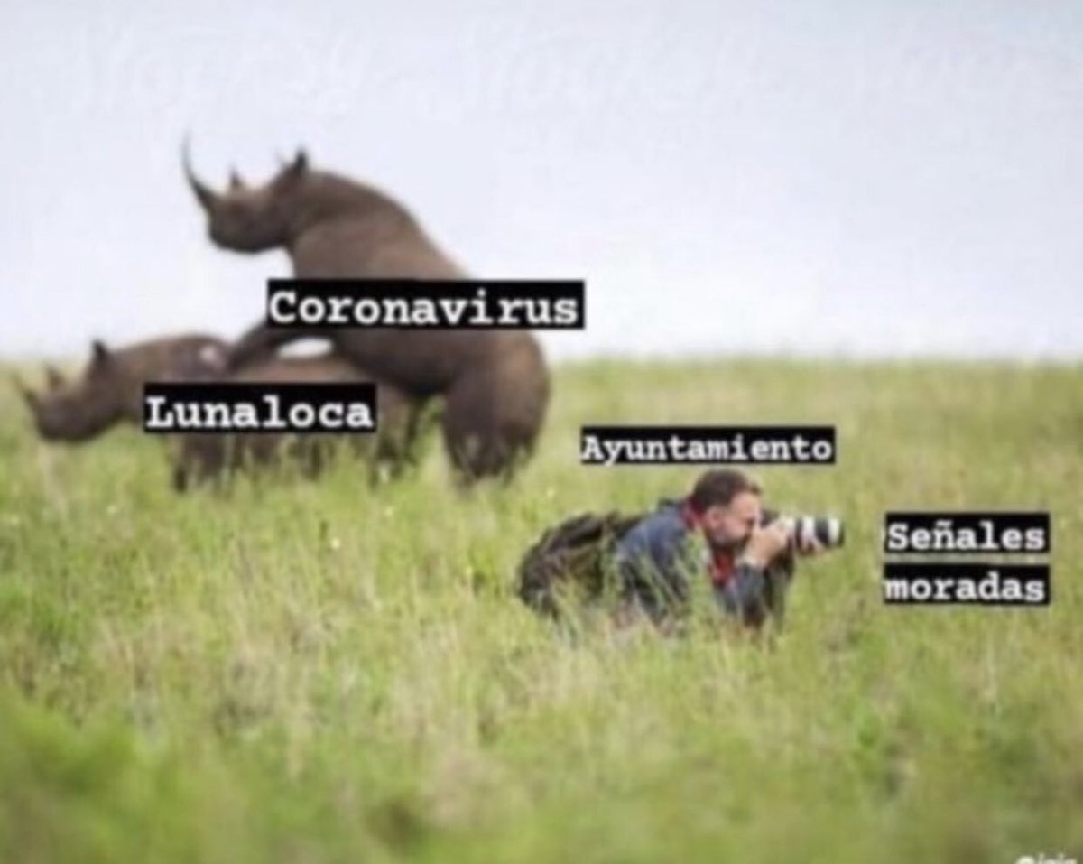 Los mismos que subis esto sois los que a pesar de saber que la luna loca lo hacia mal no os perdíais una no?? 😂😂😂😂🤦🏼‍♀️🤦🏼‍♀️🤦🏼‍♀️🤦🏼‍♀️🤦🏼‍♀️