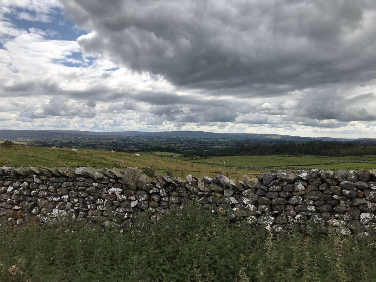 JennySyson's tweet photo. Well what a week....during annual leave I was determined to get some family downtime and it was lovely 🌳🌿🍃🌻 if bizarrely momentarily interrupted by an appearance on @BBCPanorama and in an #ALPify podcast! Never a dull moment 😂 https://t.co/zxkvJfioDj