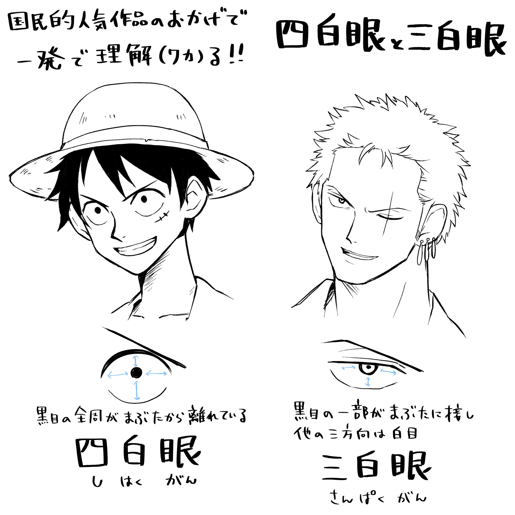 朽竹イルマ 四白眼 三白眼とは どう説明しようかなと思ったんですが ふとone Pieceのおかげで一発で説明できる ということに気付きました 要するに ルフィが四白眼 ゾロが三白眼 です あと超余談だけど ルフィとゾロ年ぶり 朽竹イルマ 四白眼 三白眼とは どう説明しようかなと思ったんですが ふとone Pieceのおかげで一発で説明できる ということに気付きました 要するに ルフィが四白眼 ゾロが三白眼 です あと超余談だけど ルフィとゾロ年ぶり