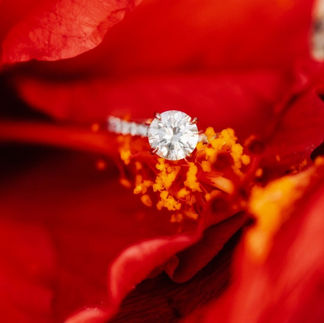 PlantationOnCR's tweet photo. Let the Plantation Point be the beginning of your always and forever ๐
#engagementsonthepoint
#plantationpoint
#love
#minimony
#destinationengagement
#naturalbeauty
#futuremrs
@stephmarie115
@marissa.rene.photo
@DiscoverCR_FL
@WeddingWire https://t.co/x9Mb1RlBl7