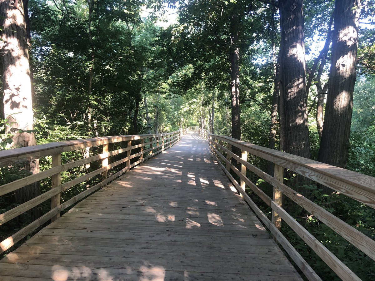 taramorganTV's tweet photo. A change of scenery is good for the soul! 🏃‍♀️🏃‍♀️🏃‍♀️❤️💪#running #run614 #nature #HappySaturday https://t.co/gTX11U8J9R