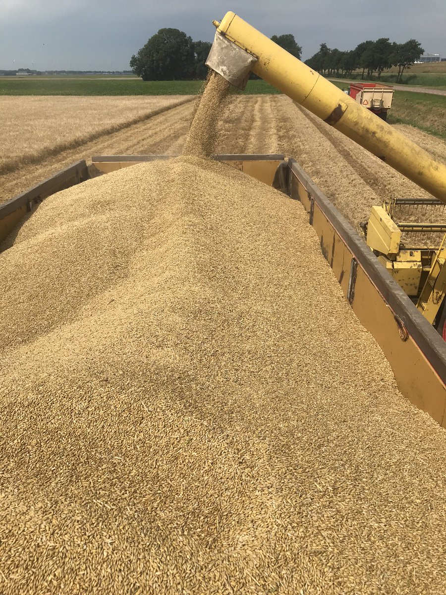PSleutel's tweet photo. @AGROTHEEK Moet gerst naar Slootdorp? Of mag dat ook in Wieringerwerf gelost worden? #dtv https://t.co/3IYYIMHaPV