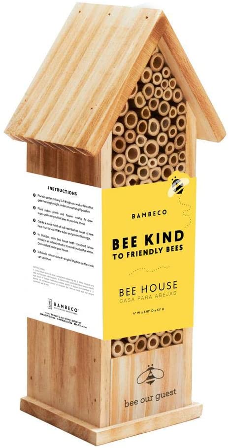 plant pollinator gardens, don't mow dandelions, don't use pesticides & herbicides, make bee houses or buy them, have water bee baths, etc. Support our tiny neighbors & they will support us! End thread