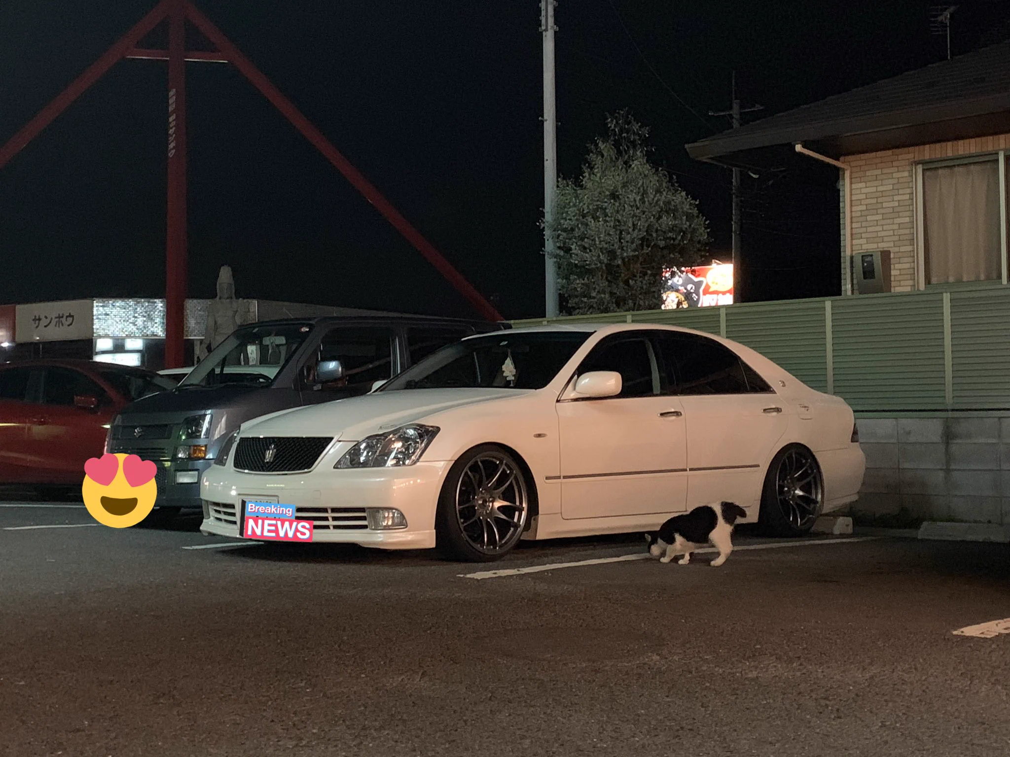 @KAIMAKU_GEYSER 僕のマシンにも興味津々な猫がいました！ 