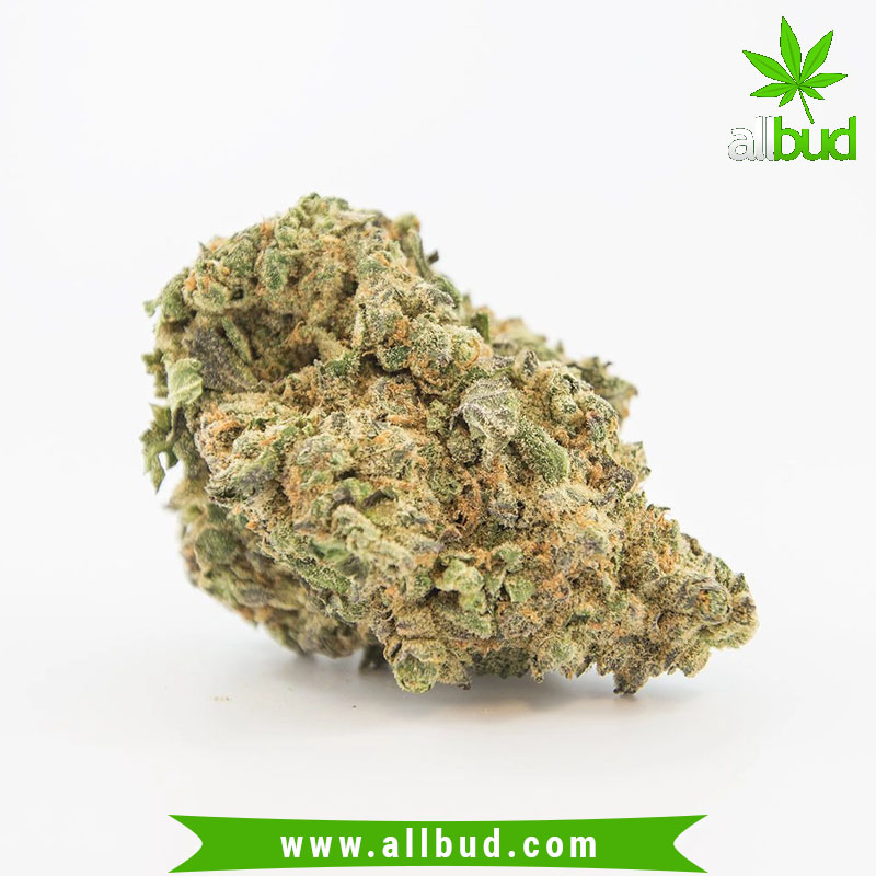 Pure Gold is an indica-dominant hybrid (sativa/indica ratio unknown), though it may also come in a sativa-dominant variety. bit.ly/2TMX6R2 #allbud #Pure #Gold #Strain #marijuana #weed #hemp #hybrid #sativa #indica #medical #use #enjoylife #healthy #cannabis