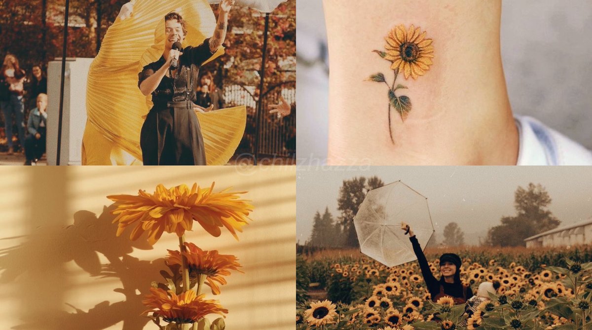 𝑺𝒖𝒏𝒇𝒍𝒐𝒘𝒆𝒓, 𝑽𝒐𝒍. 6— 𝑺𝒂𝒈𝒊𝒕𝒕𝒂𝒓𝒊𝒖𝒔