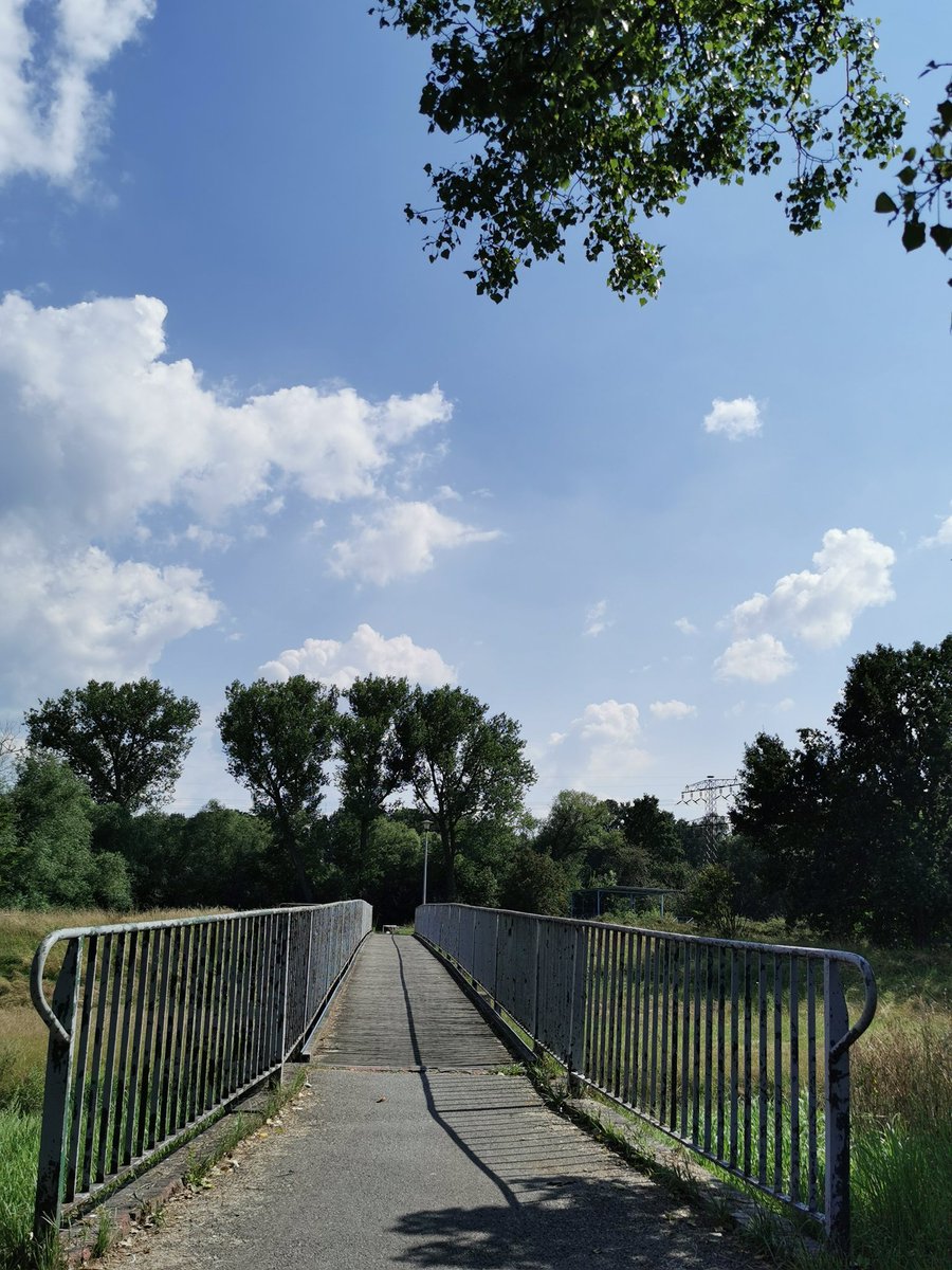 FranziskaOL's tweet photo. #sommerdergutengeschichten

Kein Text, nur Bilder, Orte, Hashtags.

#landlebt #derandereosten #radfahren #überland #dreiländereck #entdecken #neiss #heiss #grenzland #bahnundrad #unterwegs https://t.co/OERdPQJsjp