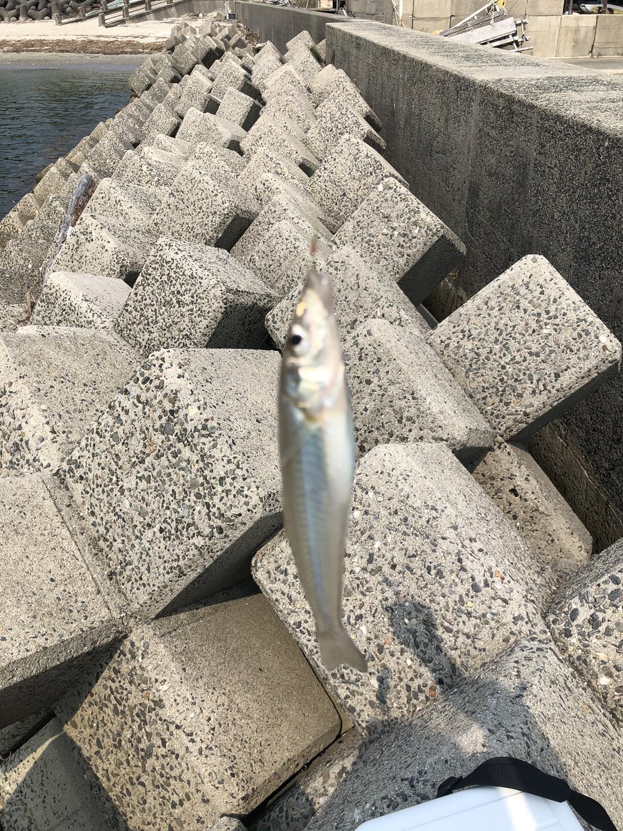 Toshi 釣り垢 Fisherman Toshi Twitter