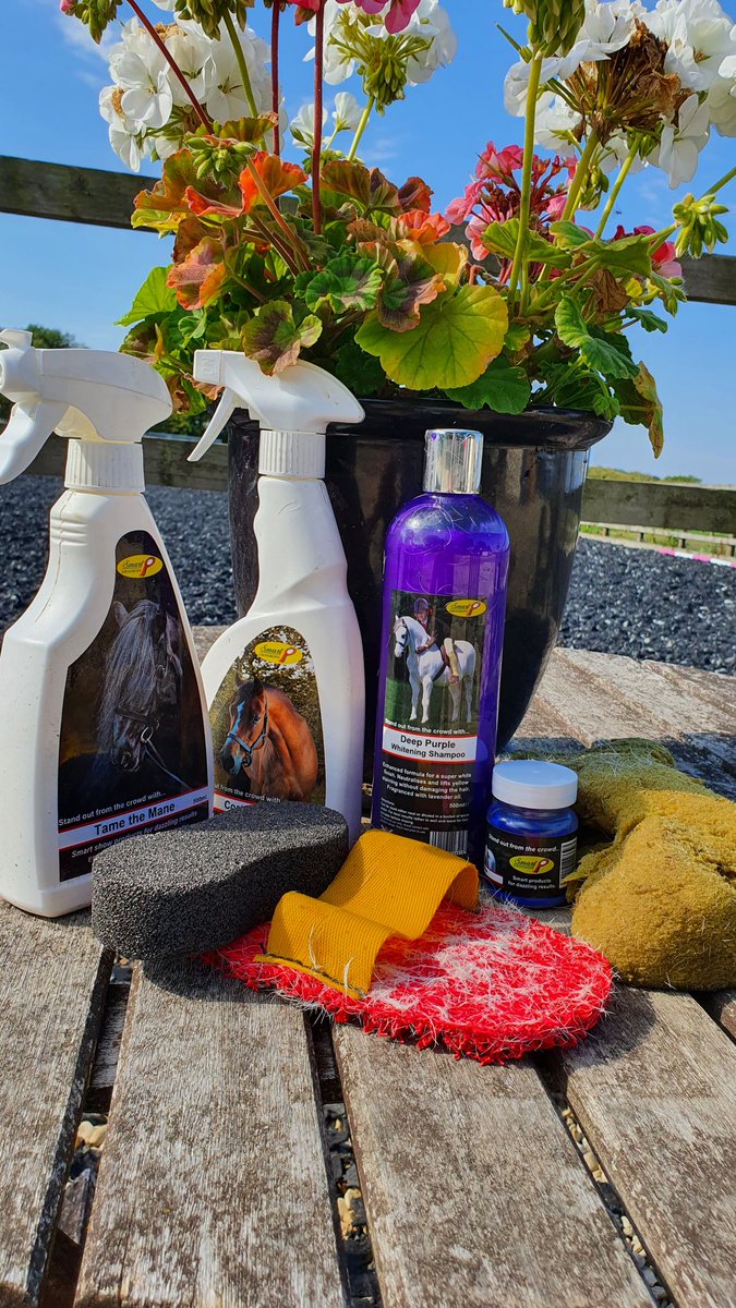 melaneyjayne's tweet image. Bath time for the horses @Smart_Grooming  #smartgrooming #horsehour #horsechathour #ponyhour