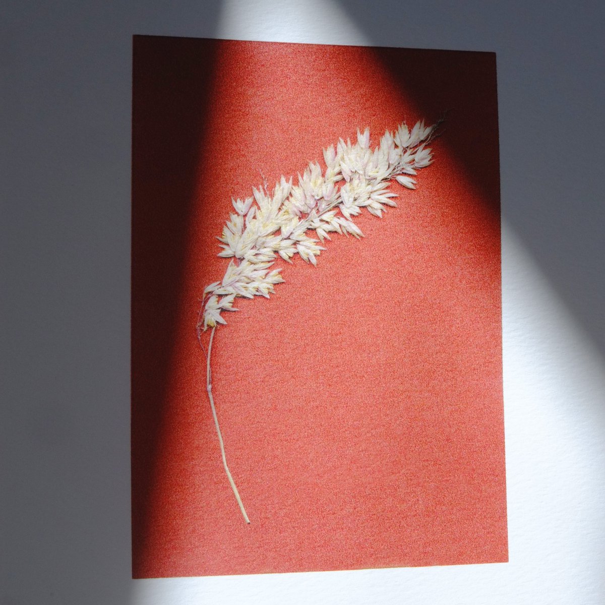 static_prevails's tweet image. everyone went nuts for this when i put it up on instagram a few weeks ago. so here it is. support your artist friends and give your walls some love! through - digital print etsy.me/3koJ6cF