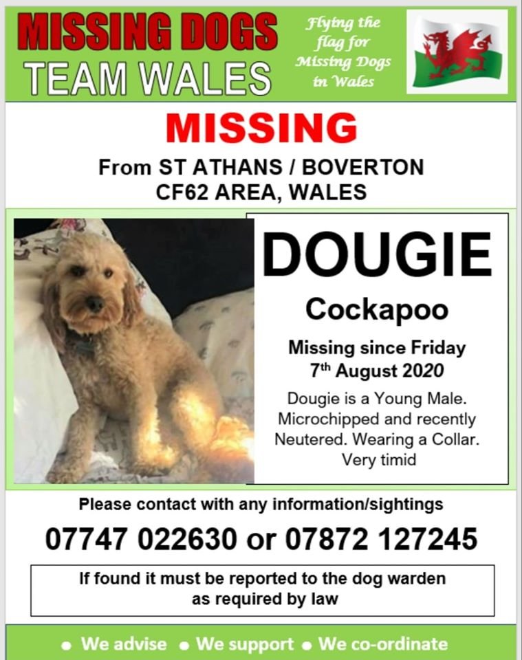 gelert01's tweet photo. #DOUGIE MISSING #StAthans #Boverton area #CF62 07/08/2020 sighted 8th nr #MOD
https://t.co/ygqD3mcCdi #TeamWales
@astonmartin @CatsMissing @AlanDaffern @MissingPetsGB @rosiedoc666 @RachaelB100 @ChrstinaKelly @Lorrain90964806 @boverton99 @boverton18 @JoseBOverton1
️ https://t.co/y94IyDoAtV