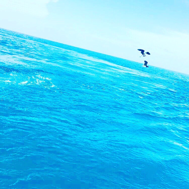 Rayanalsedrani's tweet photo. #تصويرك_بجوالك_عبدالله_العصيمي2 https://t.co/LhCDC1yZyE