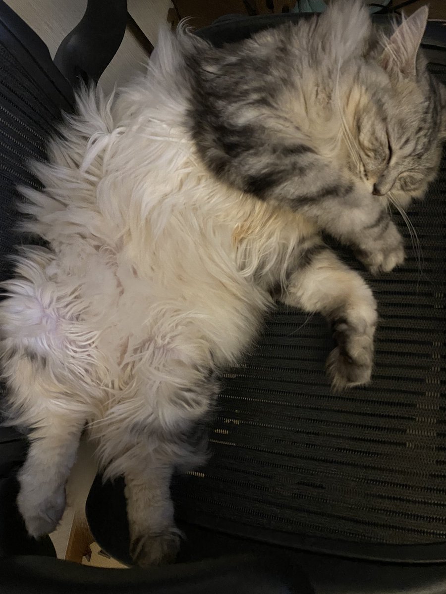 起こさないでって顔してるけど起こすよ! 