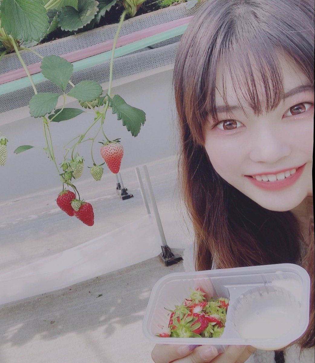 ibuuibuuu's tweet image. CampusAward2021の決勝進出することができました🎉
慶應義塾大学2年の【いぶ🍓🎤】です！

【このツイートが審査対象になるのでRTお願いします🙇‍♀️❤︎】

投票ページはこちら！！
1日1回の投票宜しくお願いします！！

📎 yell.mixch.tv/contests/5/can…

#CampusAward2021 #キャンアワ #Aブロック予選決勝