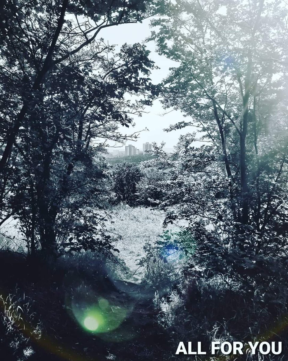 Underground Sounds Edinburgh tweet media