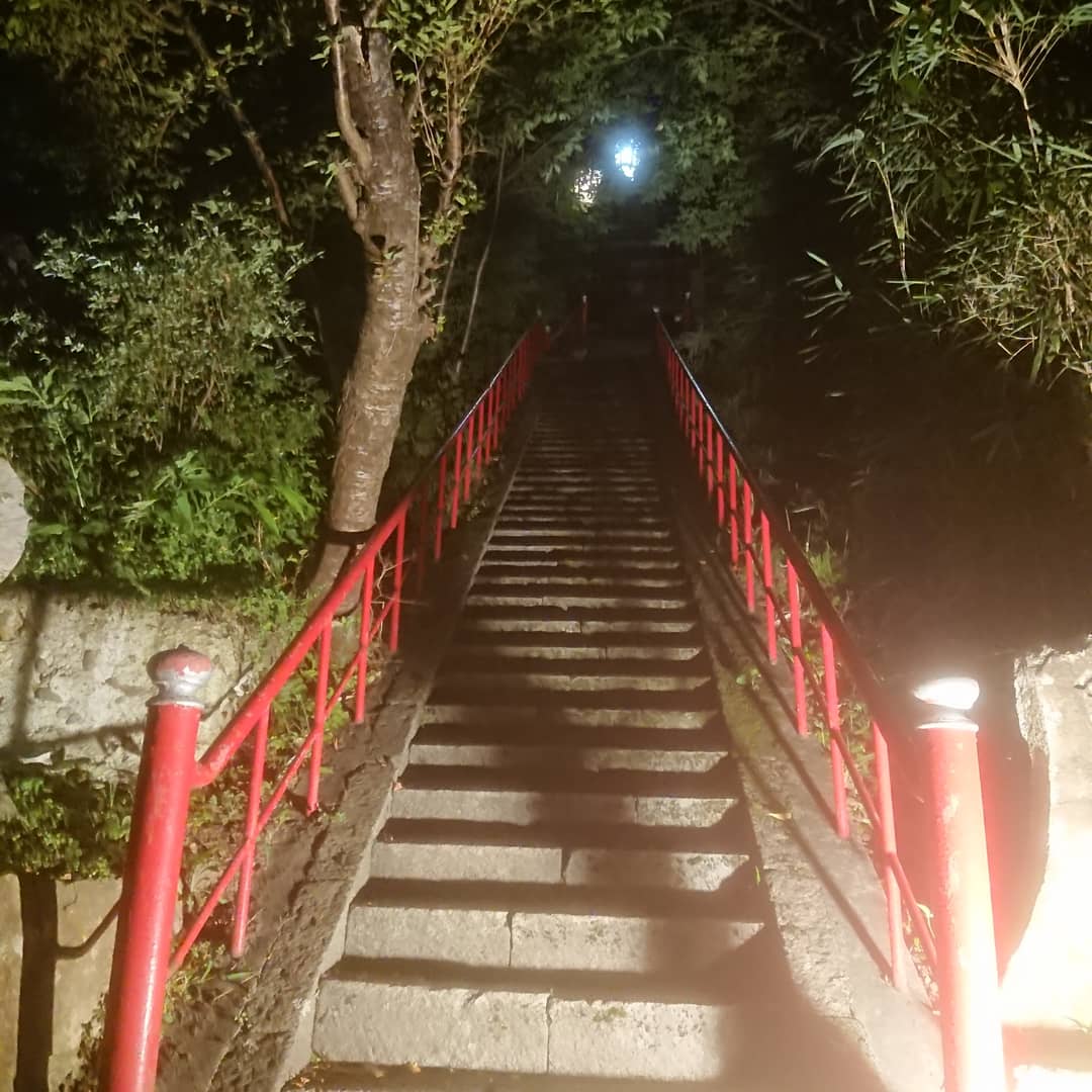 暑中見舞い申し上げます